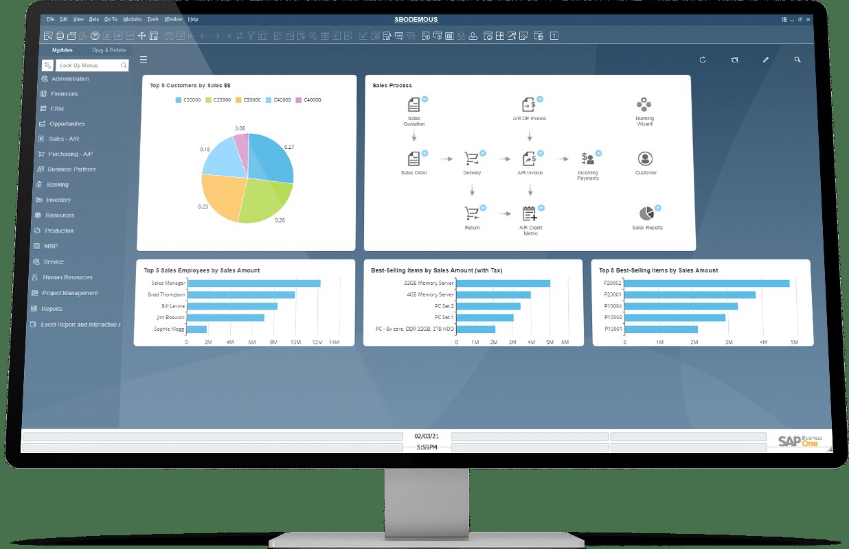 SAP Business One cockpit with sales dashboards and the visual sales process flow